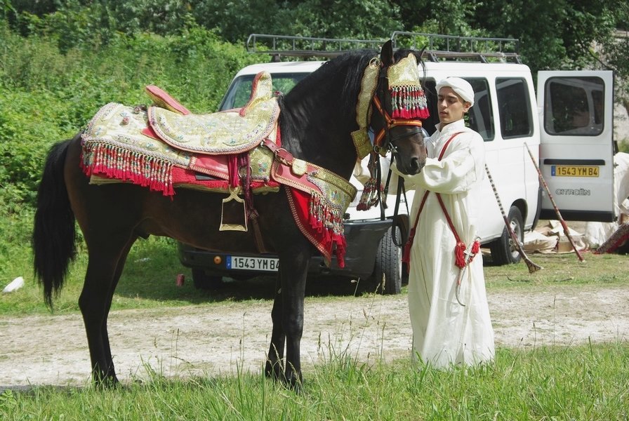 Le Moussem des Cultures 2008 130.jpg